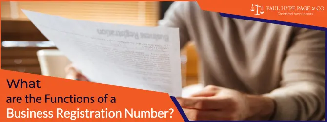 Functions of a Business Registration Number